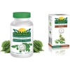 Moringa Capsules and Tea - Rooibos Infusion Photo