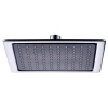 Belatori BeIatori Pulse Shower Rose Square Photo