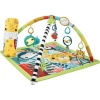 Fisher Price Fisher-Price 3-in-1 Rainforest Sensory Gym Photo