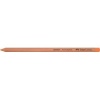 Faber Castell Faber-Castell PITT Pastel Pencil 113 Photo