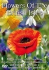 Flowers of the British Isles Photo