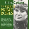 Topic The Sweet Primeroses Photo