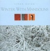 Acoustics Records Winter With Mandolins Photo