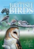 Green Umbrella Ultimate Guide to British Birds Photo