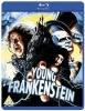 Young Frankenstein Photo