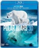 Polar Bears 3D: Ice Bear Photo
