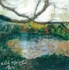 Tin Angel Wide Majestic Aire Photo