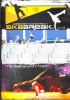 Sk8 Break Photo