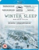 Winter Sleep Photo