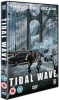 Tidal Wave Photo
