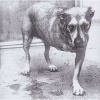Alice In Chains Photo