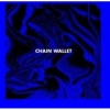 Chain Wallet Photo