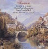 Schumann - Fantasy in C major - Etudes Syphoniques - Piano Sonata Photo