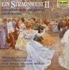 Straussfest 2 Photo