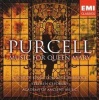 Purcell Photo