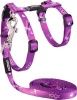 Rogz Catz KiddyCat H-Harness and Lead Combination Photo