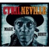 Magic Honey Photo