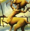 Out of Africa Photo