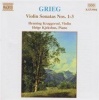 Naxos Sonatas for Violin and Piano Photo
