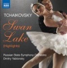 Naxos Tchaikovsky: Swan Lake Photo