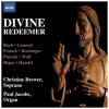 Divine Redeemer Photo