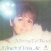 Audiophile A Breath of Fresh Air Photo