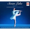 Allegro Swan Lake Photo