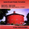 American Piano Sonatas Photo