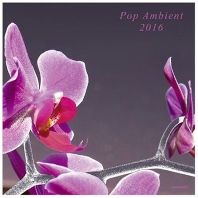 Photo of Pop Ambient 2016