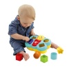Fisher Price Fisher-Price Butterfly Shape Sorter and Baby Toy Blocks Photo