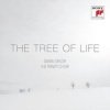 Daniel Taylor: The Tree of Life Photo