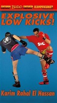 Photo of Kickboxing: Explosive Low Kicks!