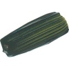 Golden Acrylic Bottle Fluid - Sap Green Hue Photo