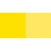 Lascaux Studio - Permanent Yellow Light Photo