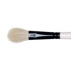 Winsor Newton Winsor & Newton Goat Hair Wash Brush Ser 240 SH Photo