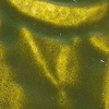 R F R & F Encaustic Wax Paint - Green Gold Photo