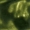 R F R & F Encaustic Wax Paint - Green Earth Photo