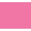 Caran Dache Classic Neocolor I - Metallic Pink Photo