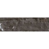 Caran Dache Artist Neopastel - Raw Umber Photo