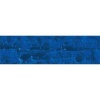 Caran Dache Artist Neopastel - Sapphire Blue Photo