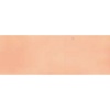 Rembrandt Talens Oil Colour Tube - Naples Yellow Red Photo