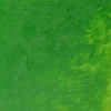 Winsor Newton Winsor & Newton Winton Oil - Permanent Green Light Photo