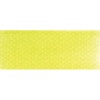 PanPastel - Bright Yellow Green Tint 5 Photo