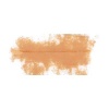 Rembrandt Talens Soft Pastel - Light Oxide Red TR339.7 Photo