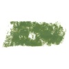 Rembrandt Talens Soft Pastel - Olive Green TR620.5 Photo