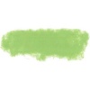 Rembrandt Talens Soft Pastel - Cinnabar Green Light TR626.9 Photo
