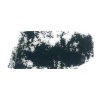 Rembrandt Talens Soft Pastel - Green Grey TR709.5 Photo