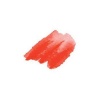 Daniel Smith Watercolour - Organic Vermilion Photo