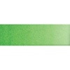 Old Holland Watercolour - Cadmium Green Light Photo