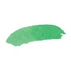 Dr Ph Martins Dr. Ph. Martin's Radiant Watercolour Dye - Jungle Green Photo